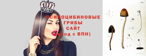 соль ск Касимов