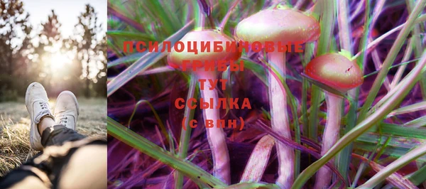 соль курить ск Карталы
