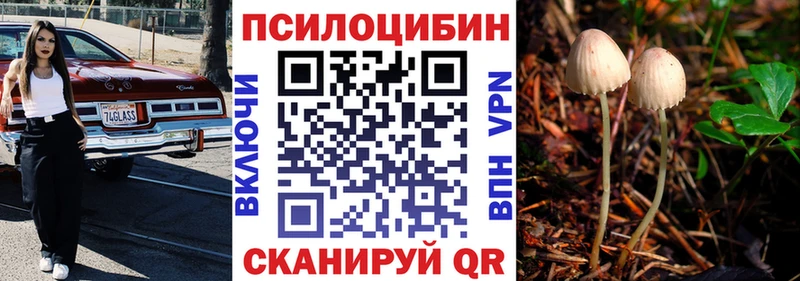 Купить  Звенигово  Галлюциногенные грибы Cubensis 